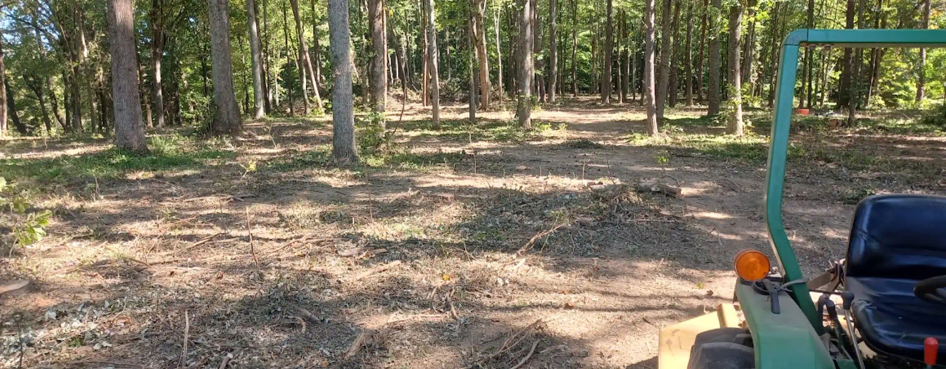 Hero Landscape with trees