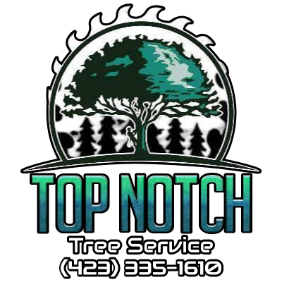 tp notch tree service logo stacked